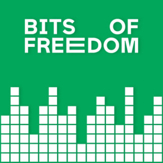 In de Bits of Freedom podcast over het ‘Slimme Check’-algoritme